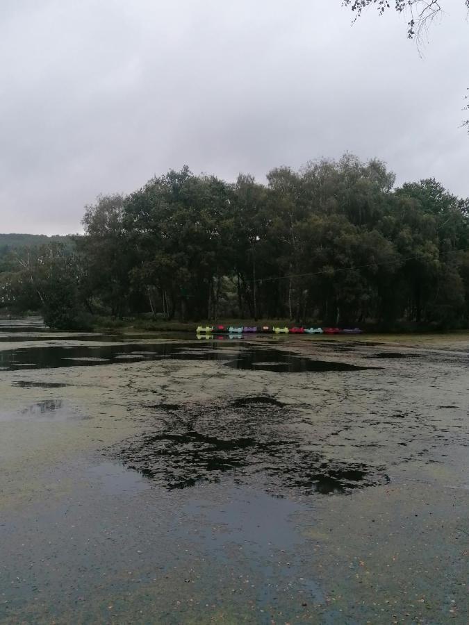 Les Gites De L'Etang De La Foret Brandivy Zewnętrze zdjęcie